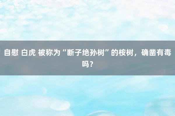 自慰 白虎 被称为“断子绝孙树”的桉树，确凿有毒吗？